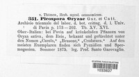 Pleospora oryzae image
